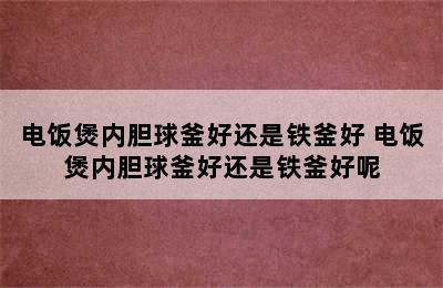 电饭煲内胆球釜好还是铁釜好 电饭煲内胆球釜好还是铁釜好呢